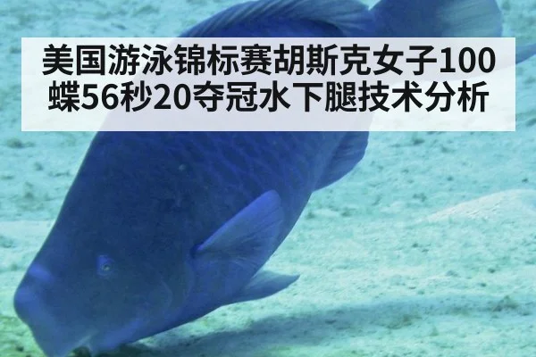 美国游泳锦标赛胡斯克女子100蝶56秒20夺冠水下腿技术分析